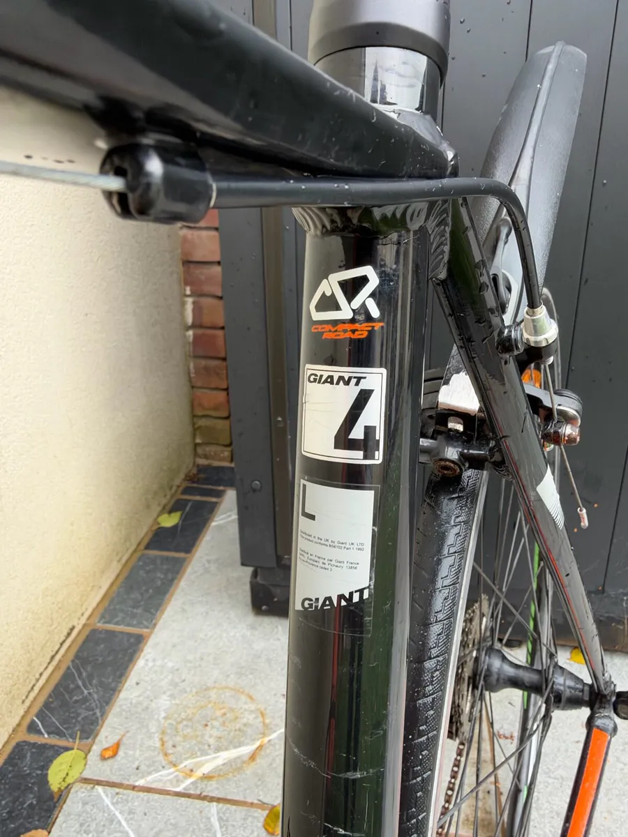 Giant Defy Large - Image 4