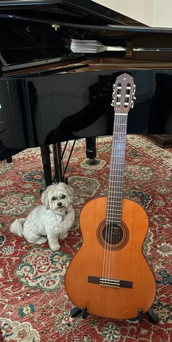 Yamaha Guitar and Accessories - Image 1