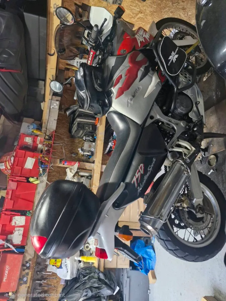 Africa Twin - Image 3
