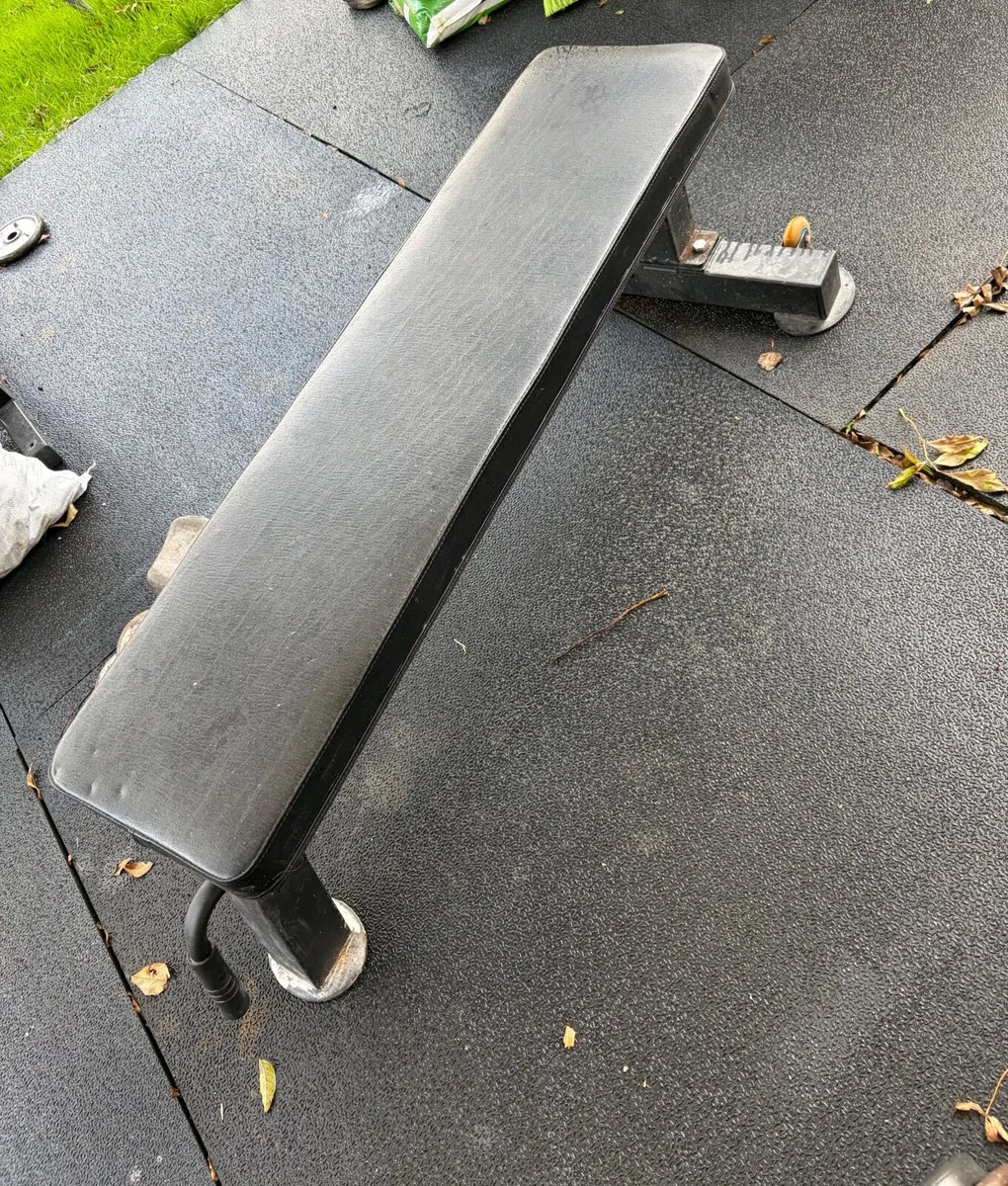 Rack, bench & inch weights - Image 2