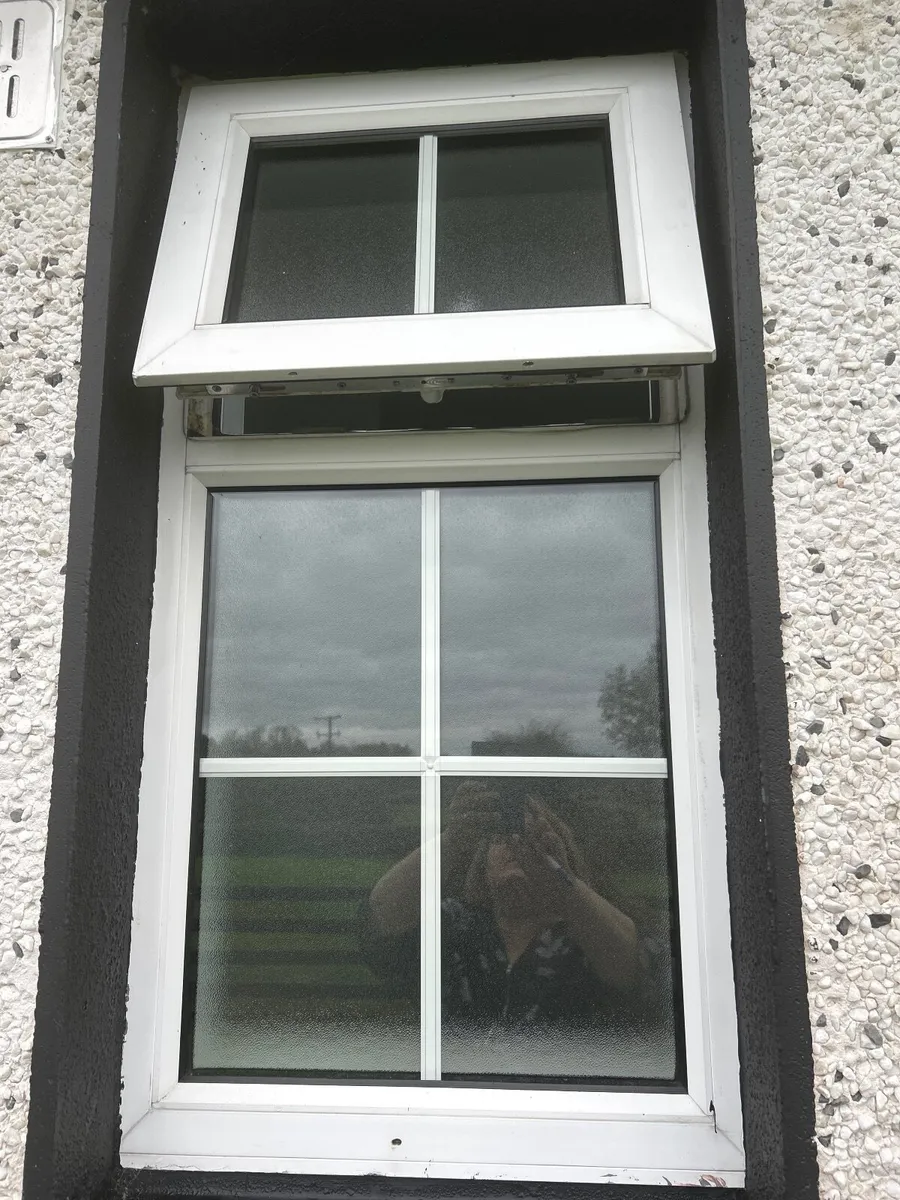 Windows - Image 2