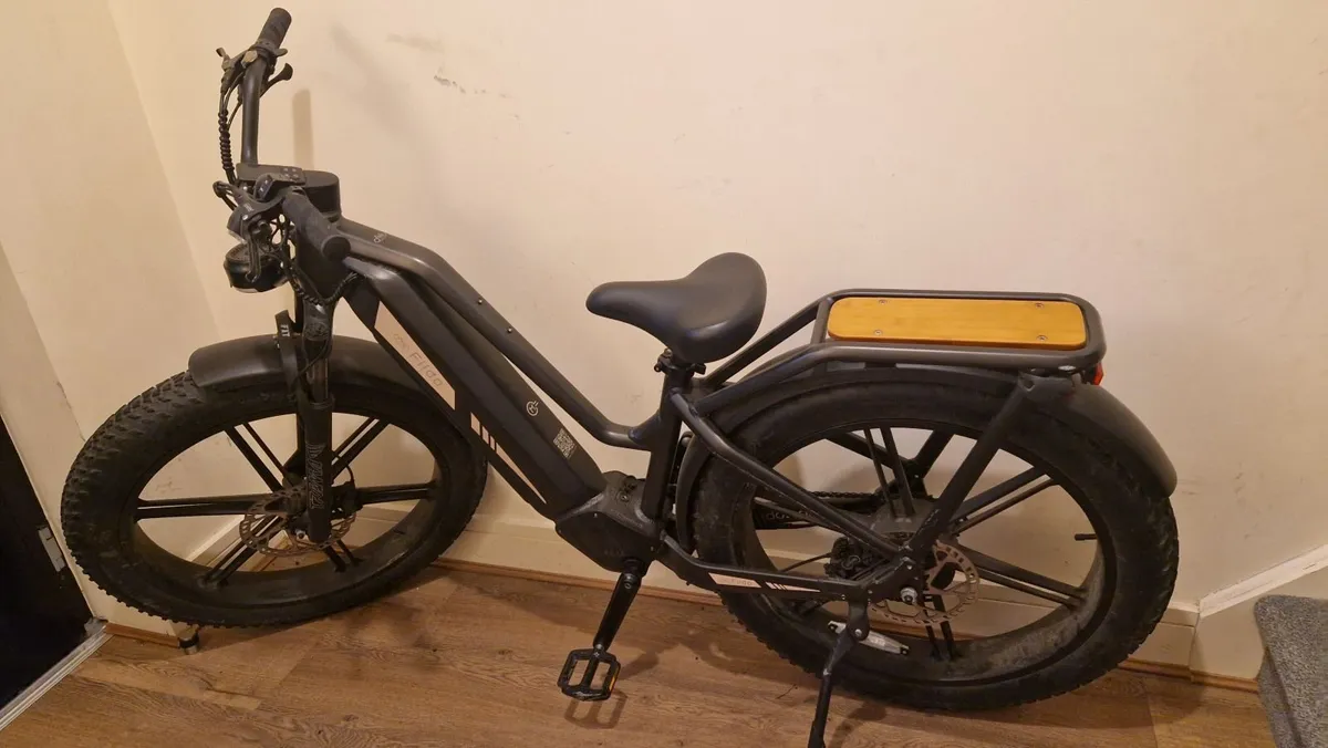 Electric bike - Image 1