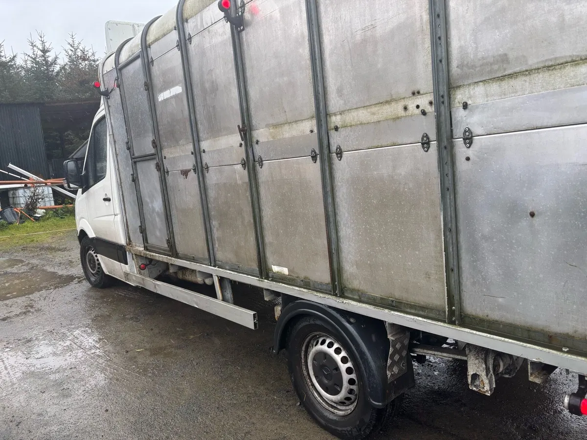 131 Mercedes sprinter cattle with 14ft cattle body - Image 3