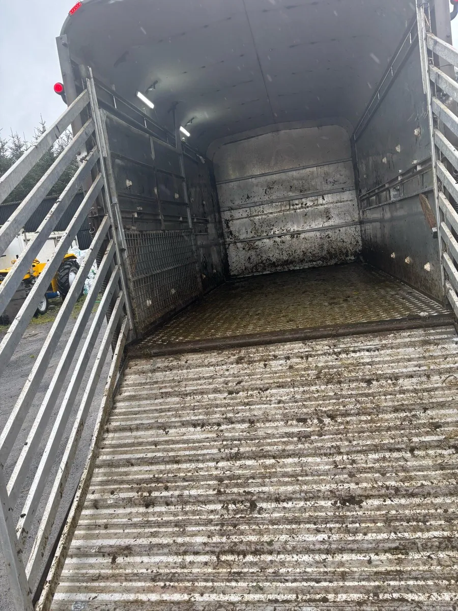 131 Mercedes sprinter cattle with 14ft cattle body - Image 4