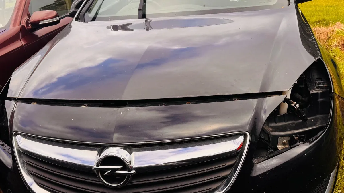 Opel insignia 2016 1.6 diesel - Image 1