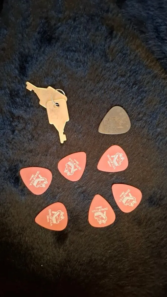 Stagg Bluegrass Mandolin - Image 4