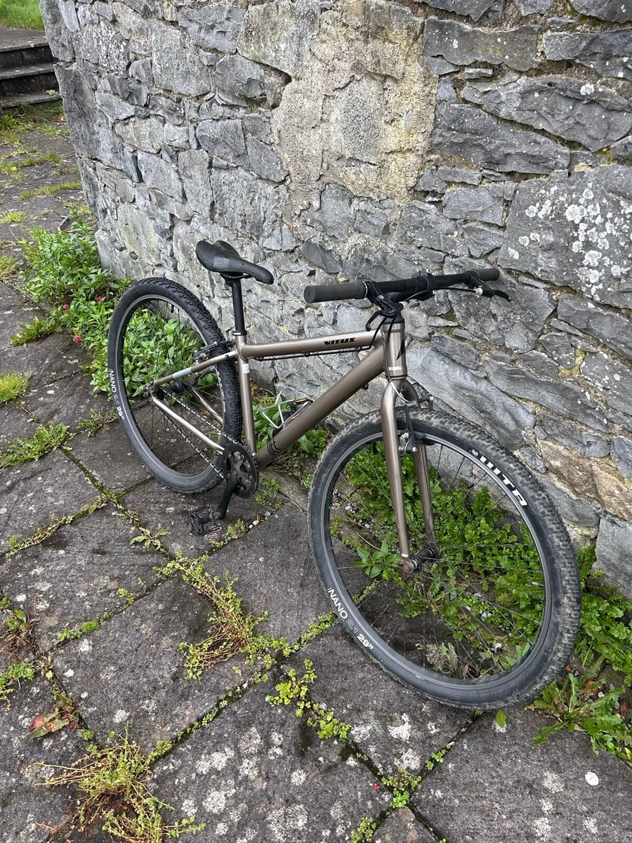 Vitus Life Bike – 29” Wheels - Image 2