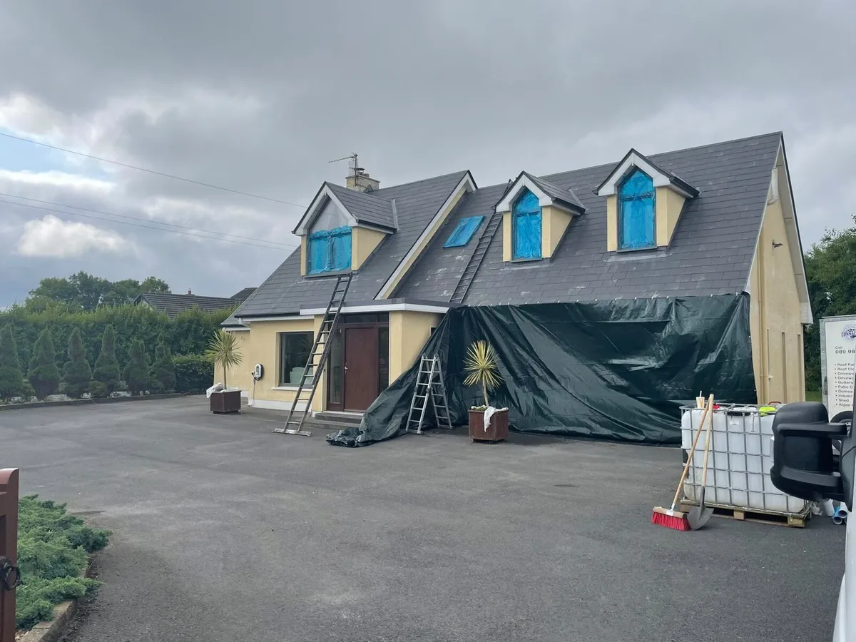 Roof repairs and roof painting - Image 1