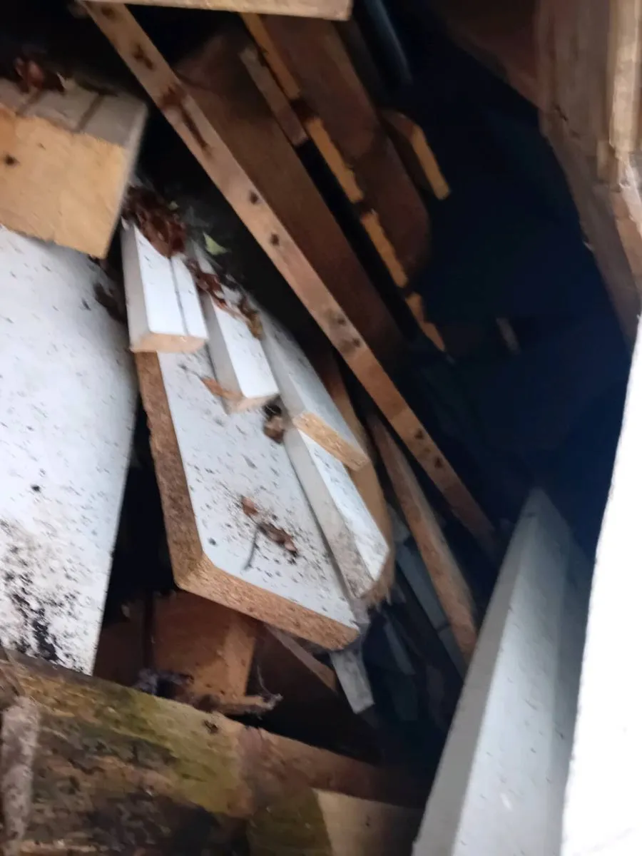 Off cuts of Timber (pallets) - Image 2