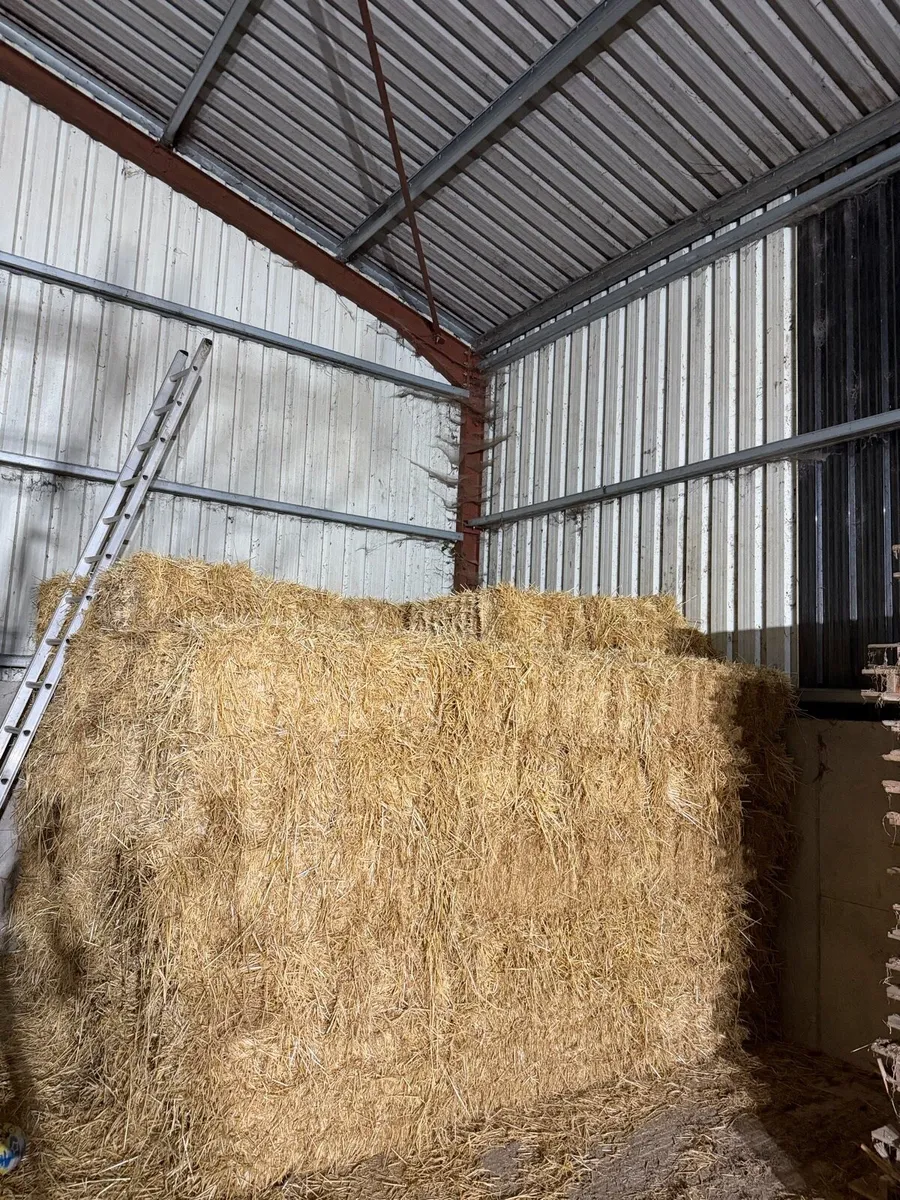 Small square bale barley straw