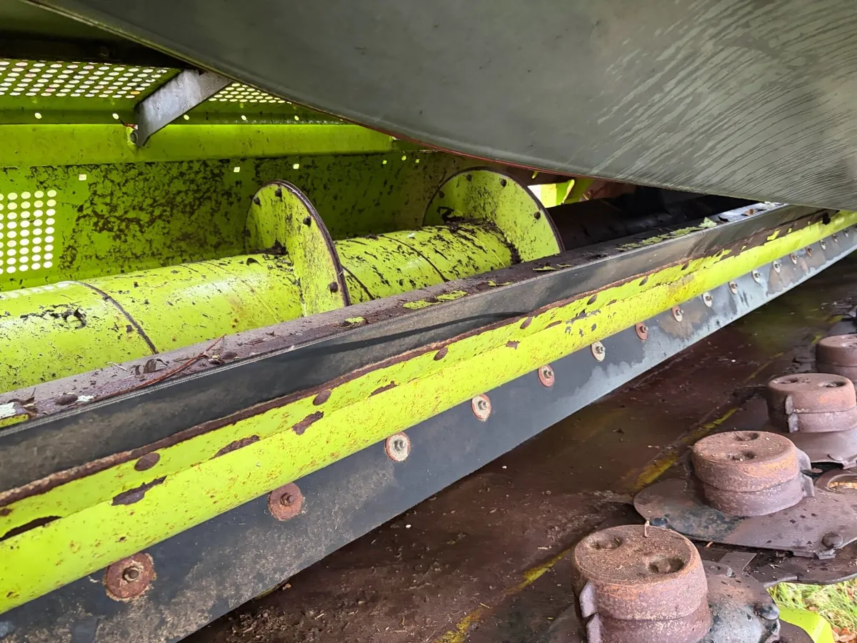 Claas 600 p direct disc header 2018 - Image 2