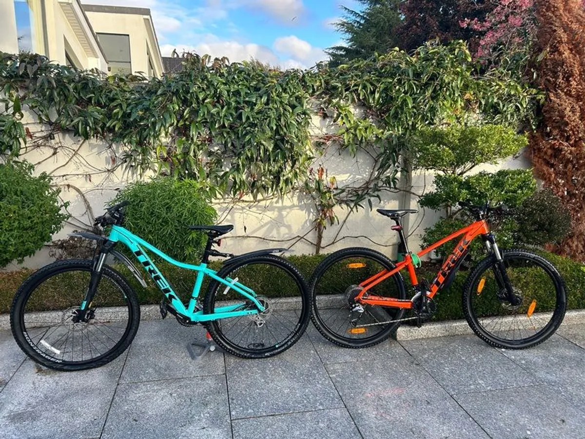 Mountain Bike - Image 1