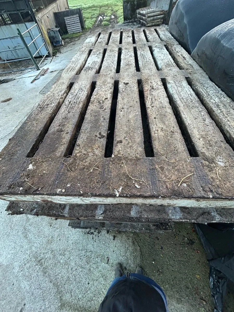 Cattle gang slats 10ft6 - Image 3