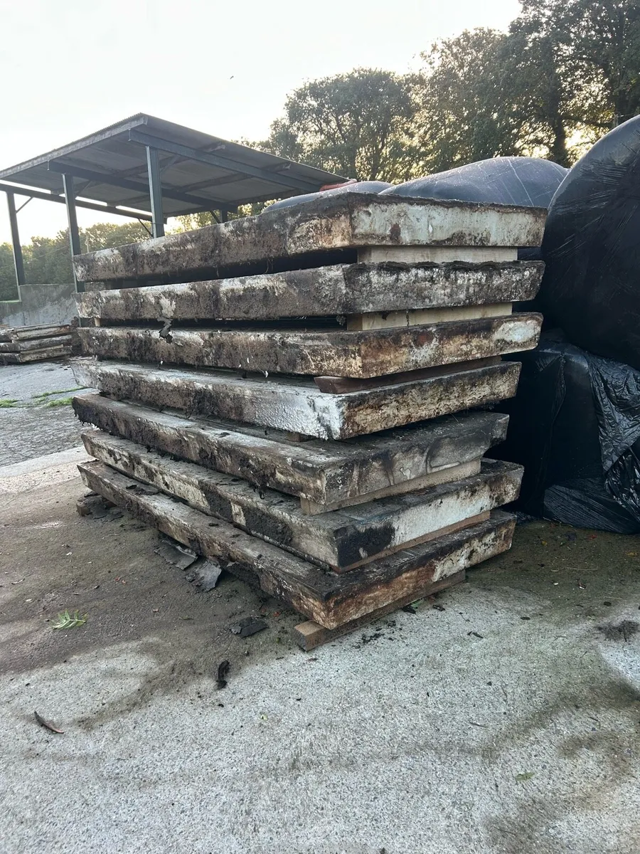 Cattle gang slats 10ft6 - Image 4
