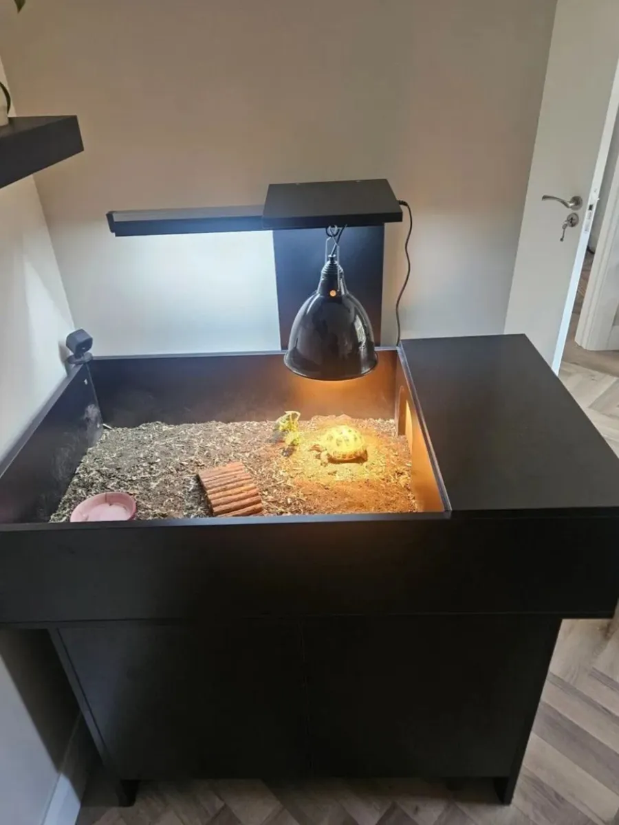 Tortoise Table / Vivarium - Image 4