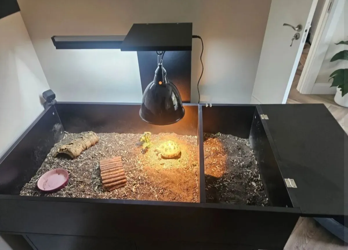 Tortoise Table / Vivarium - Image 2