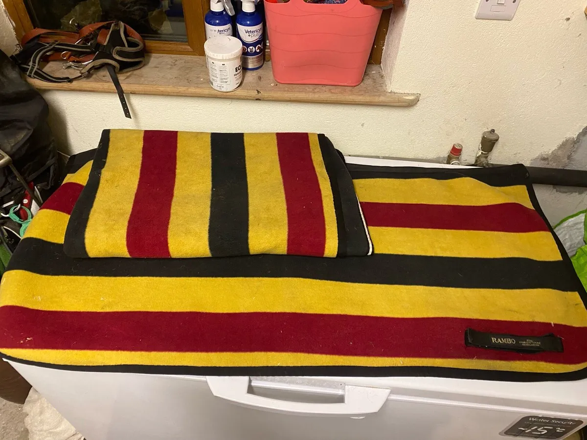 X2 horseware exercise rugs