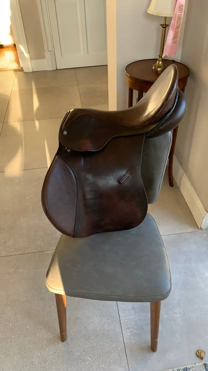 Saddle - Image 1