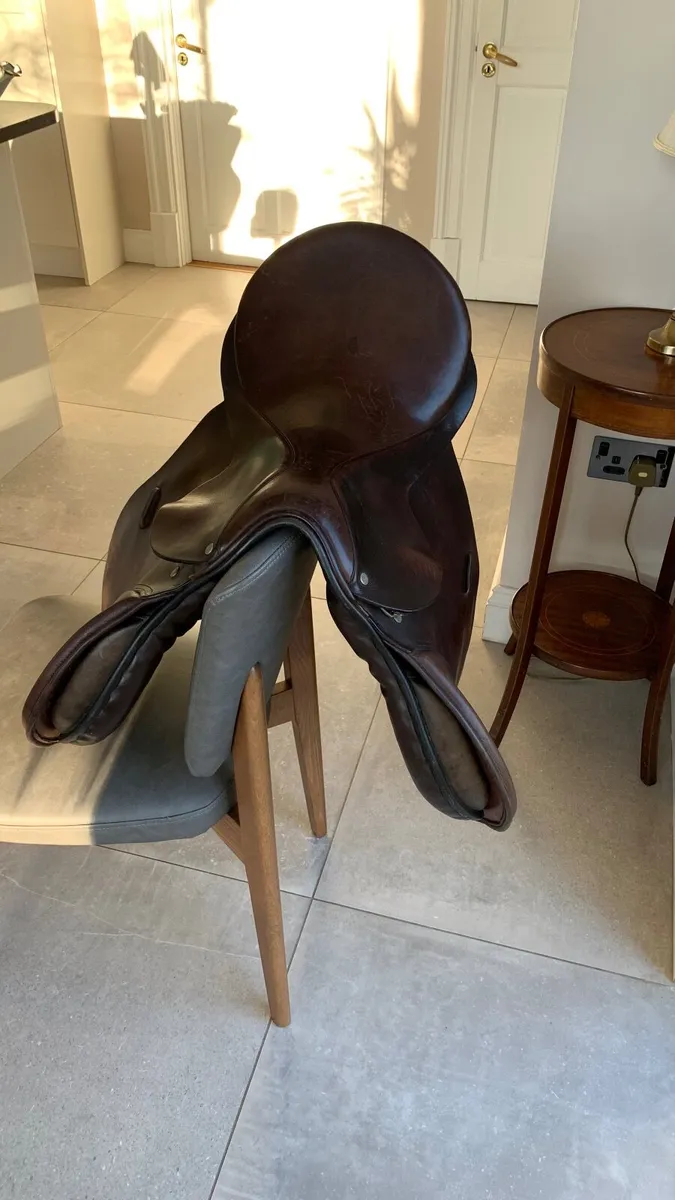 Saddle - Image 3