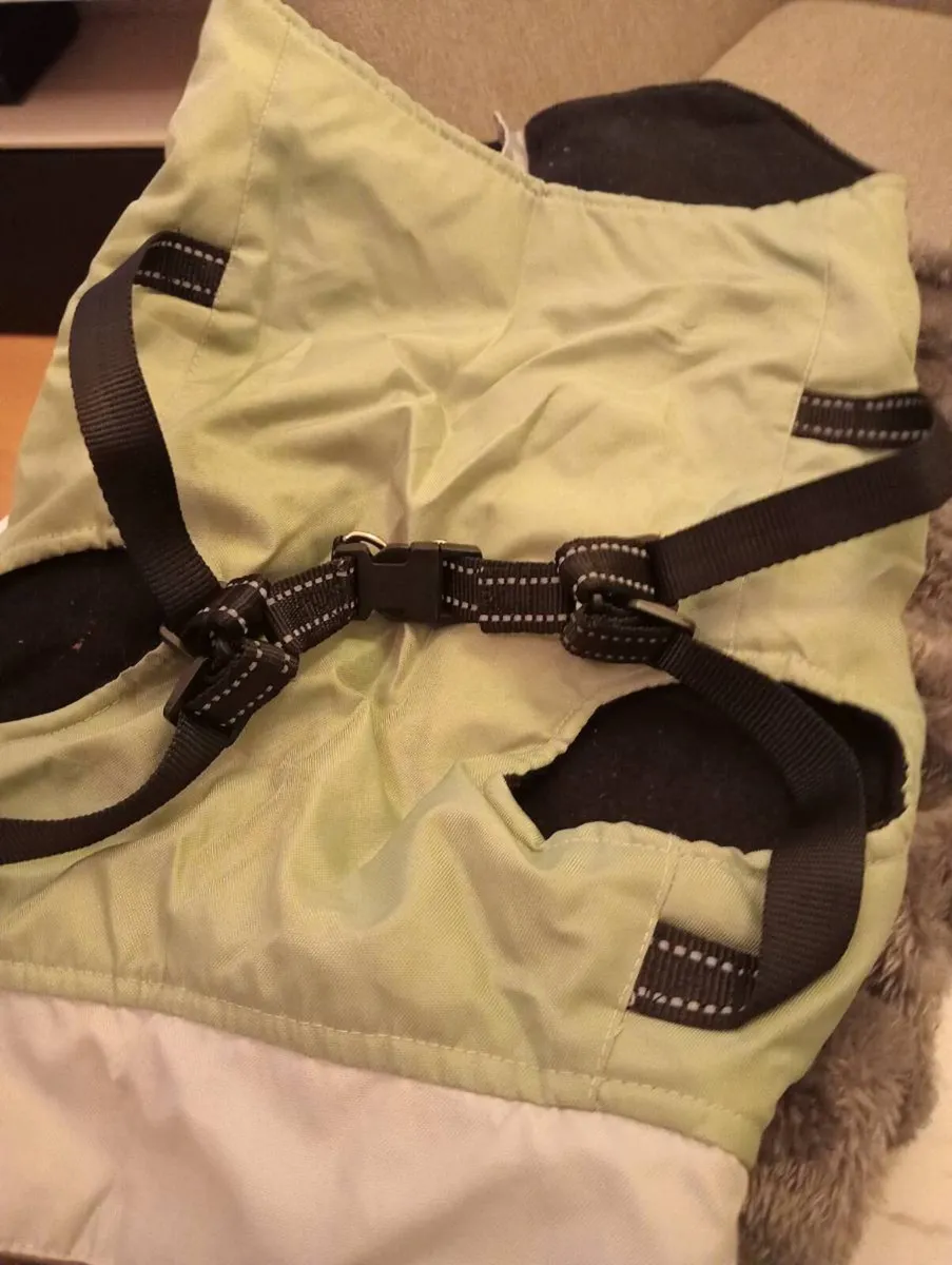 Dog out fit - Image 3