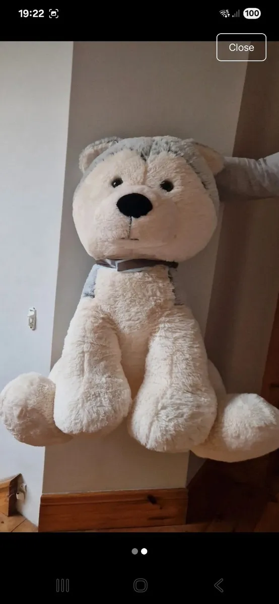 Large husky Teddy - Image 2
