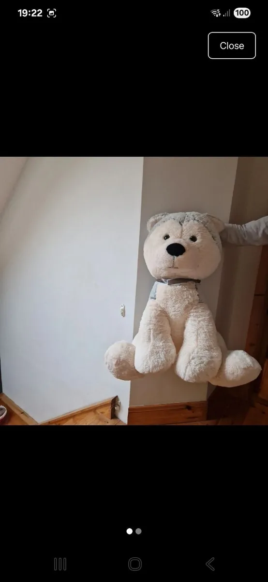 Large husky Teddy - Image 1