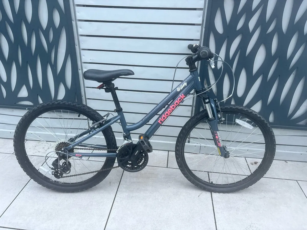 Ridgeback bike - Image 1