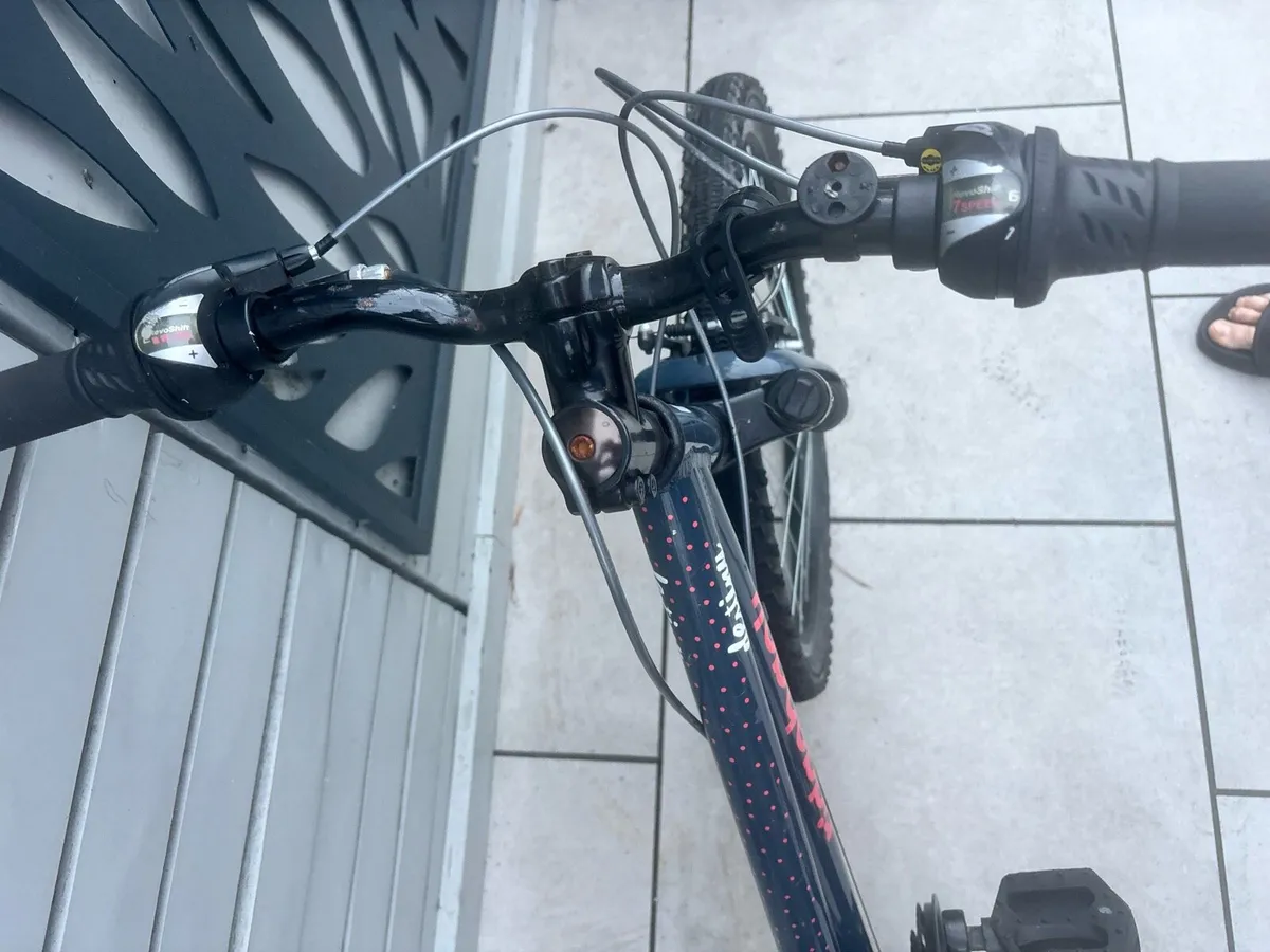 Ridgeback bike - Image 3