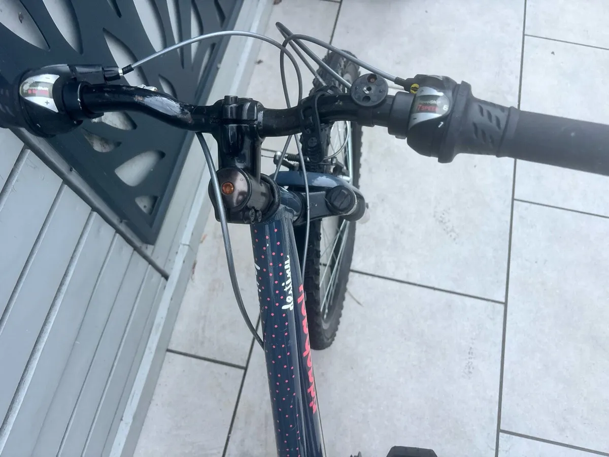Ridgeback bike - Image 4