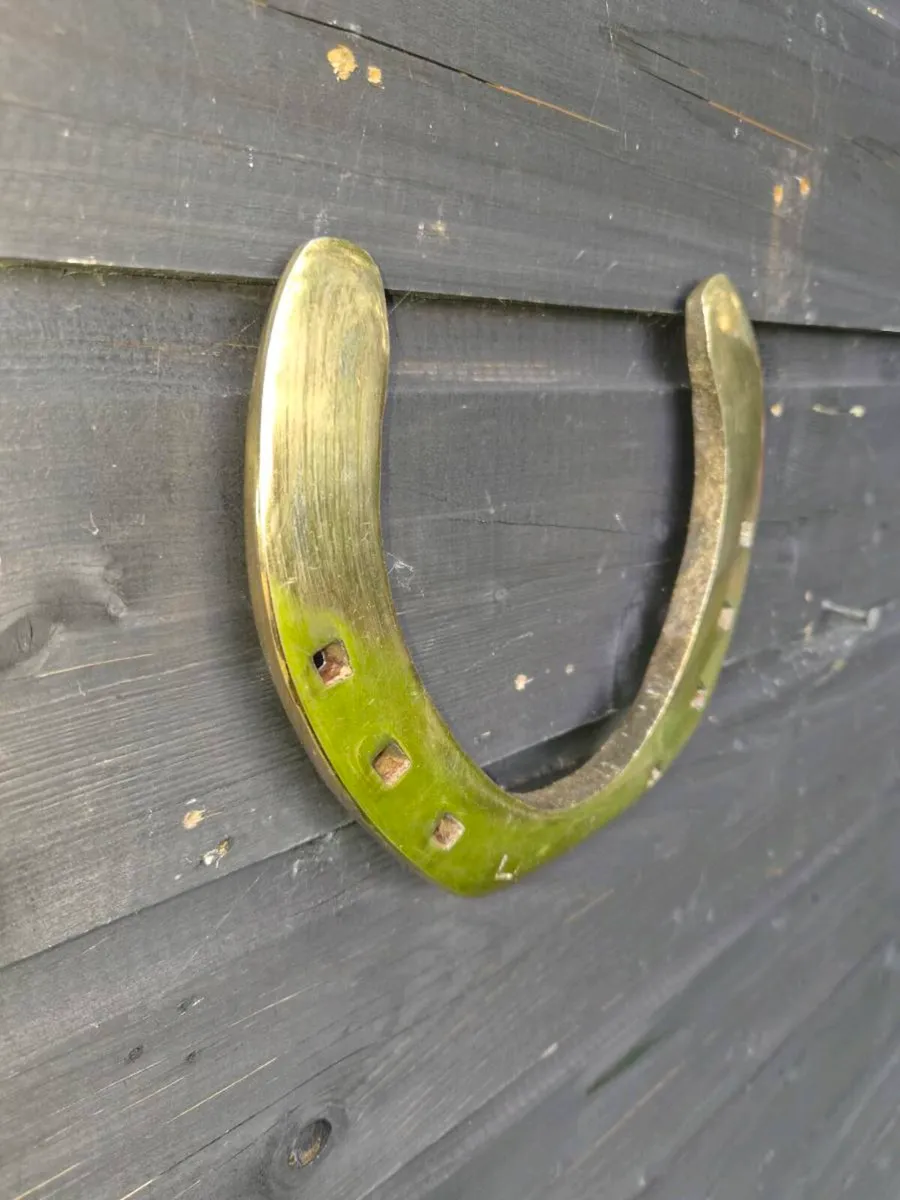 Large Old brass horse shoe - Image 3