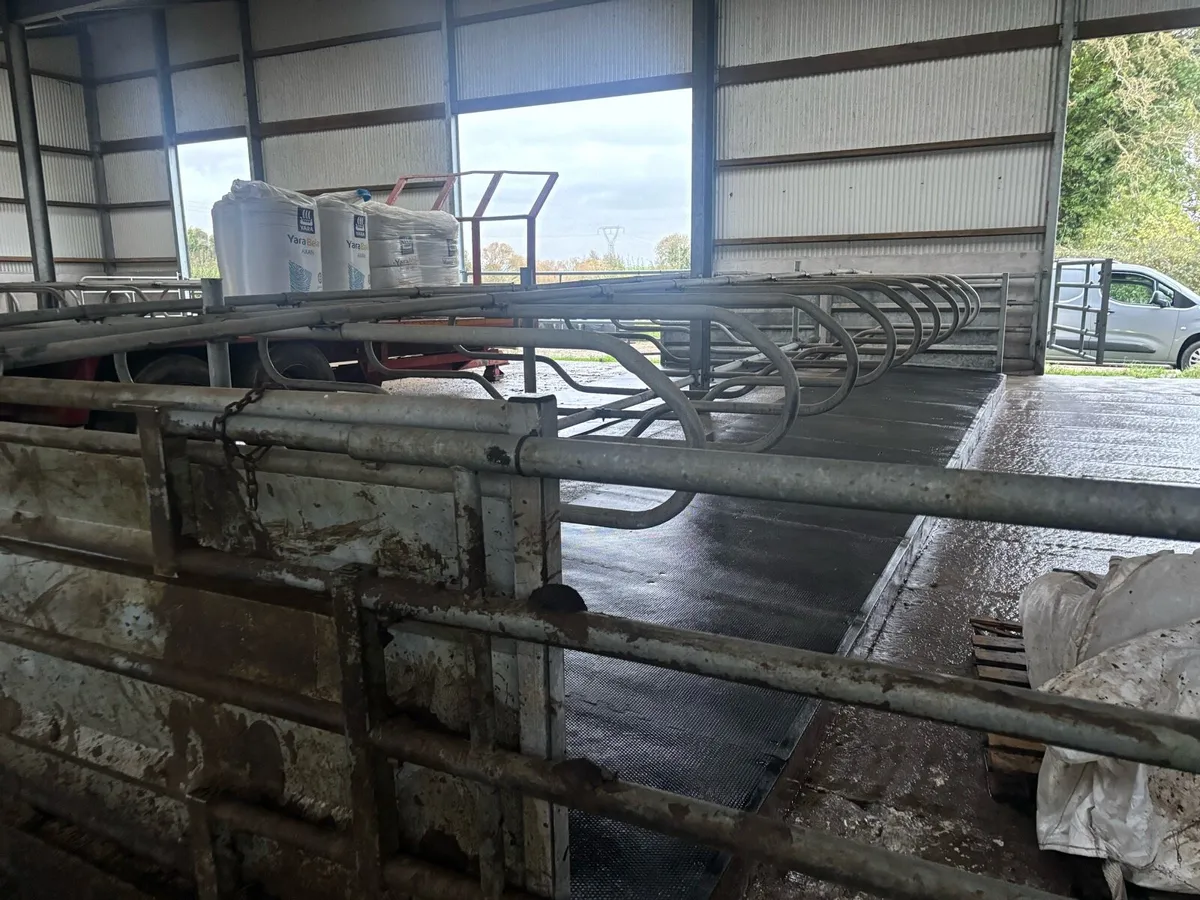 Cubicles - Image 1