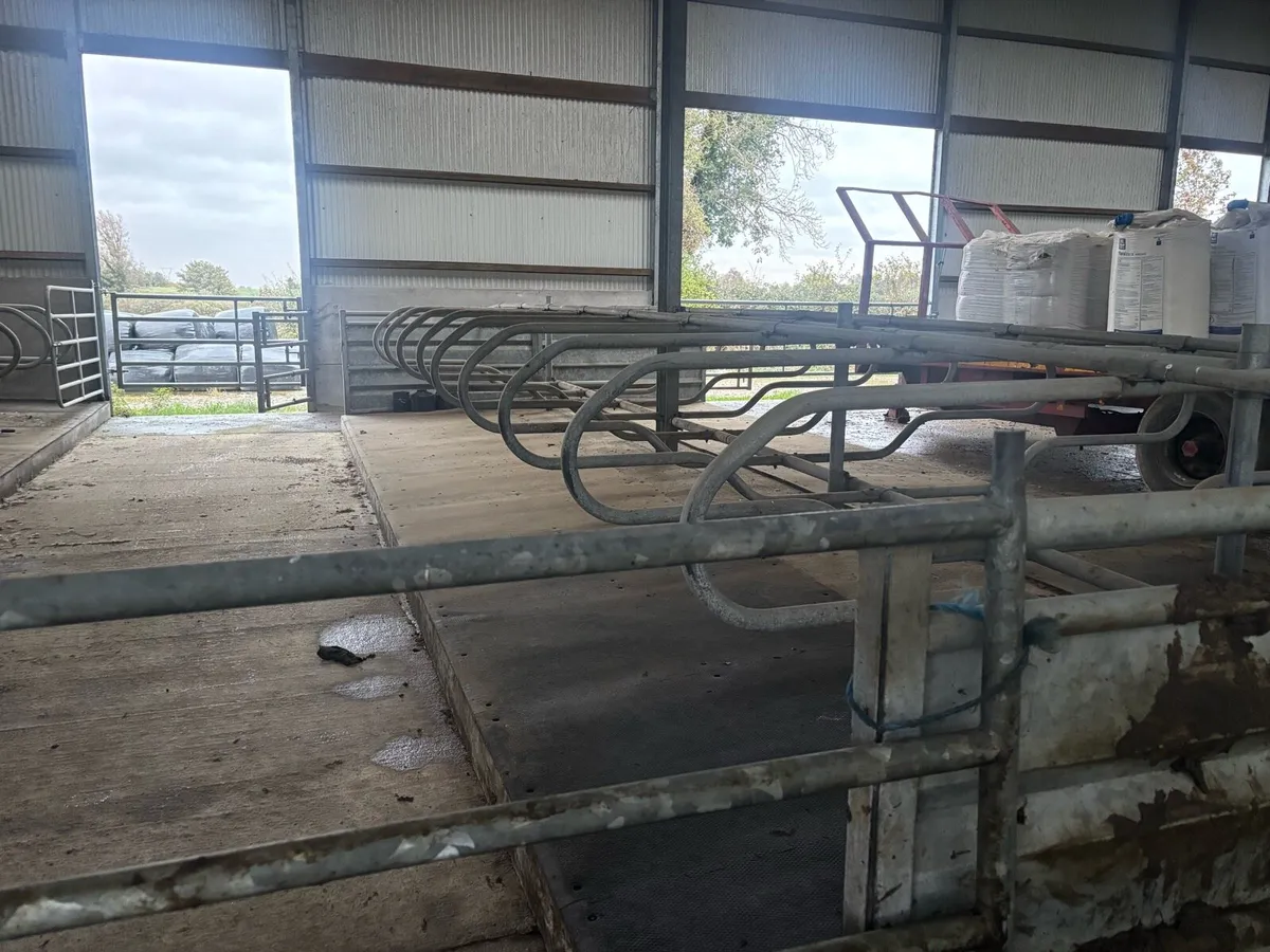 Cubicles - Image 3