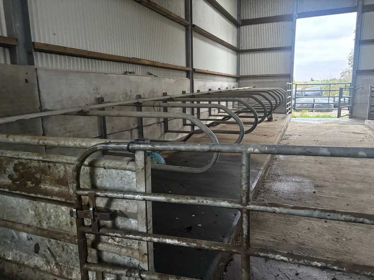 Cubicles - Image 4