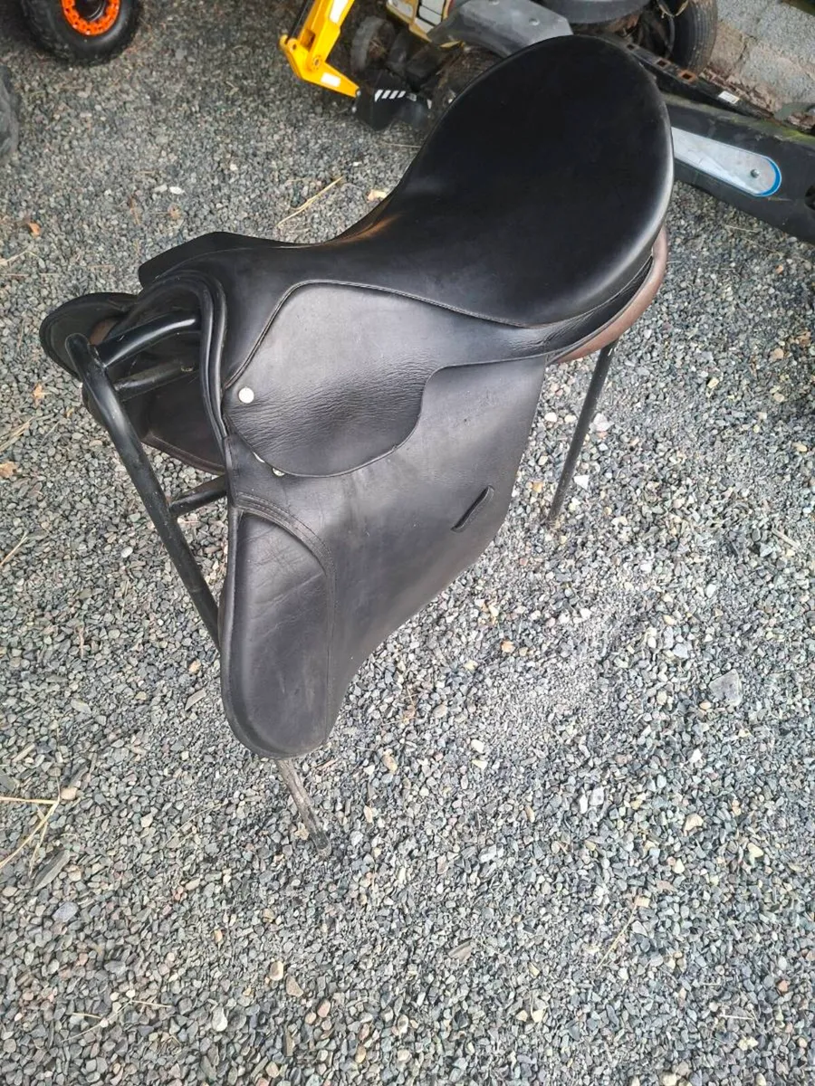 Berney saddle - Image 1