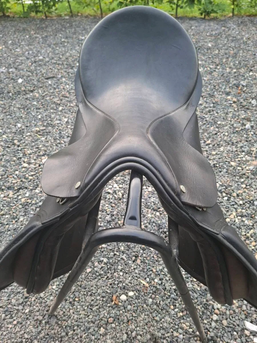 Berney saddle - Image 2