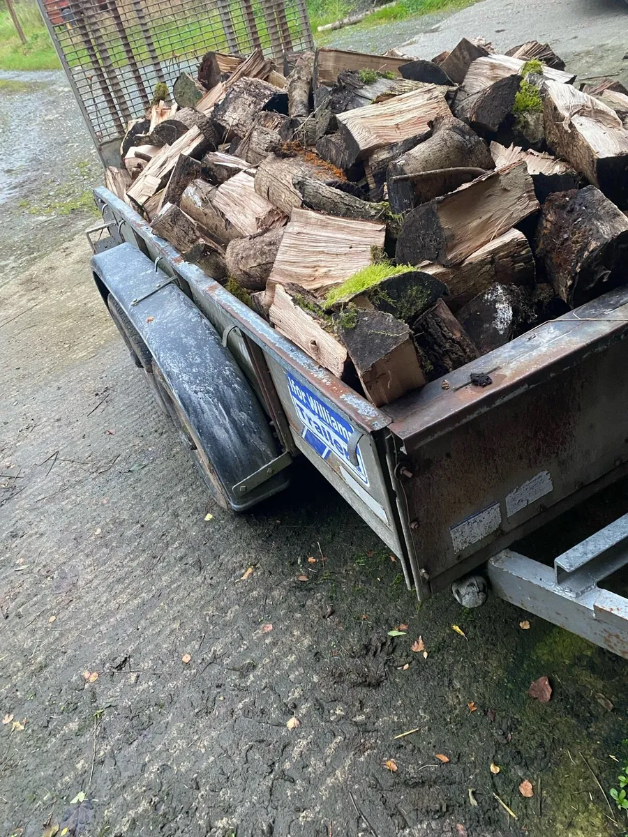 Ash firewood 8x4 - Image 2
