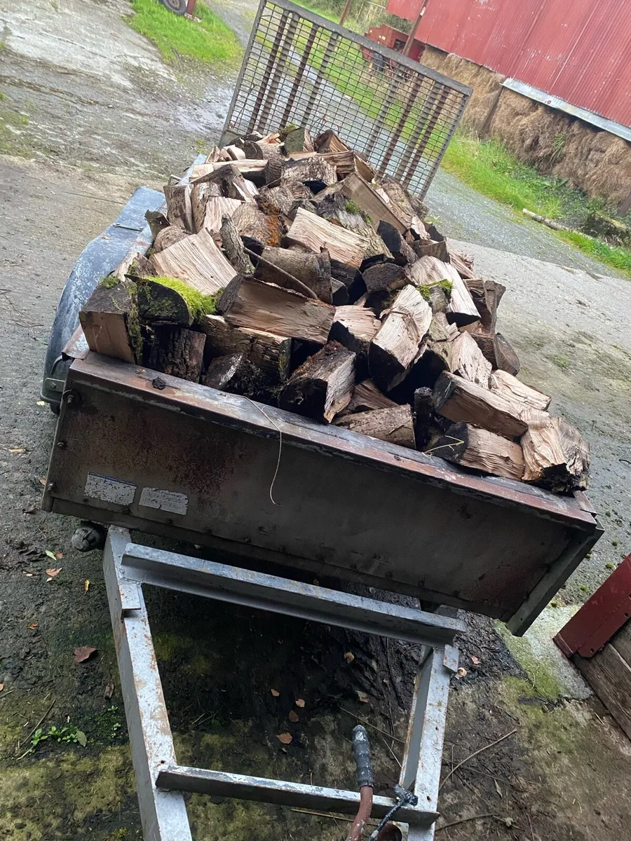 Ash firewood 8x4 - Image 3