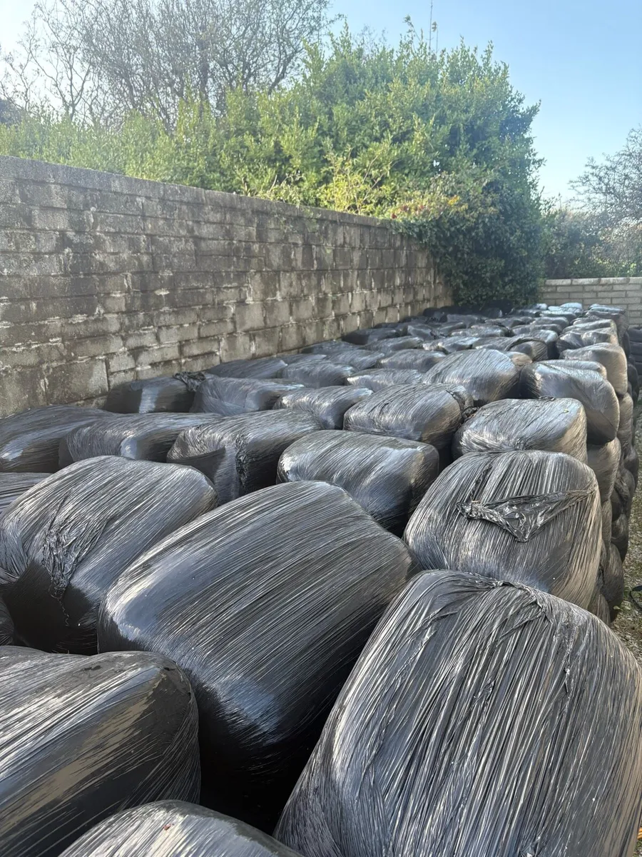 Haylage