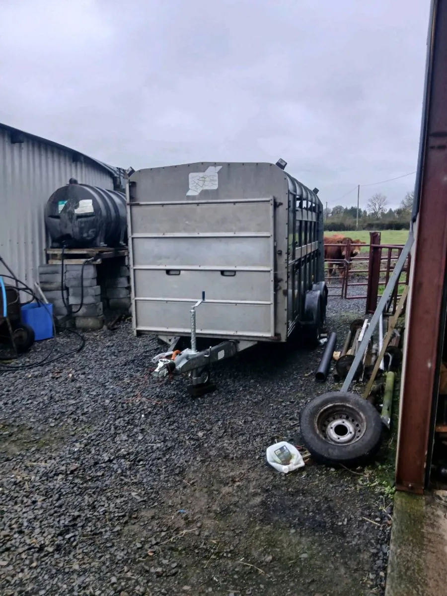 04 ifor cattle trailer CALL 0868782672 tradetaken - Image 2