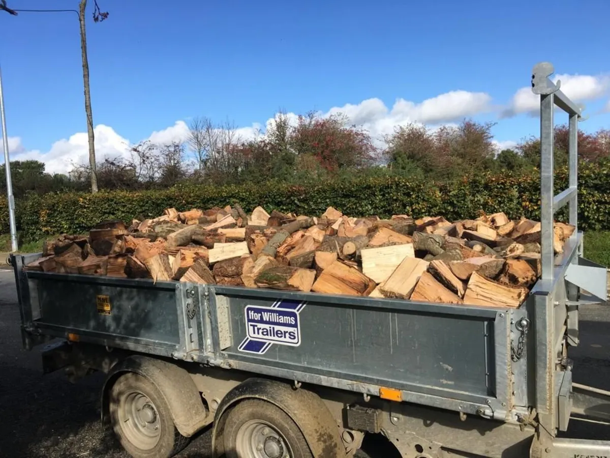 Firewood - Image 3