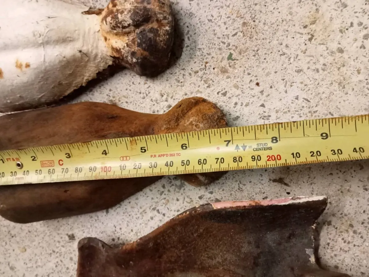 Four cast iron bath legs - Image 3