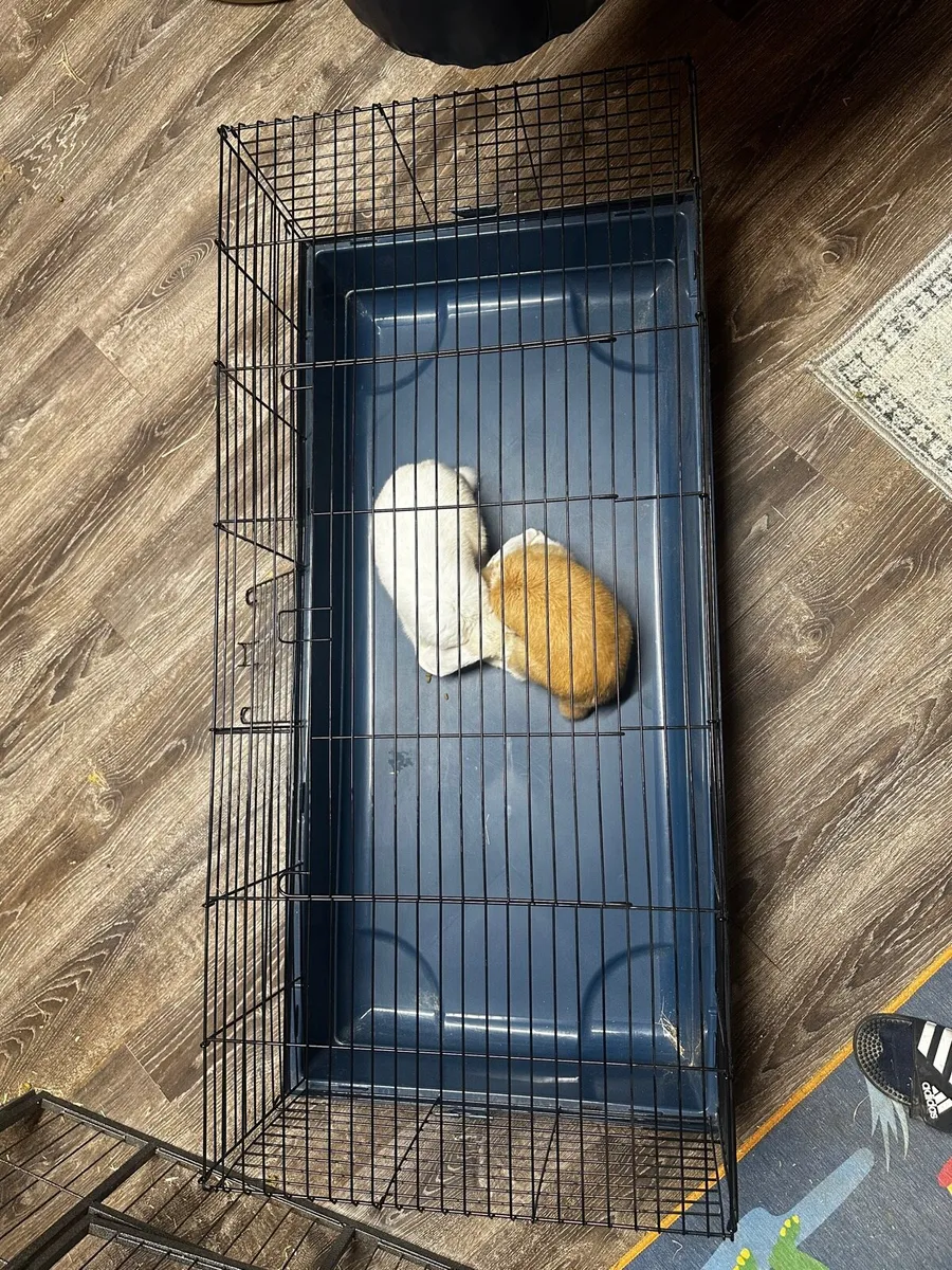 Mesh and tray- small animals - Image 1
