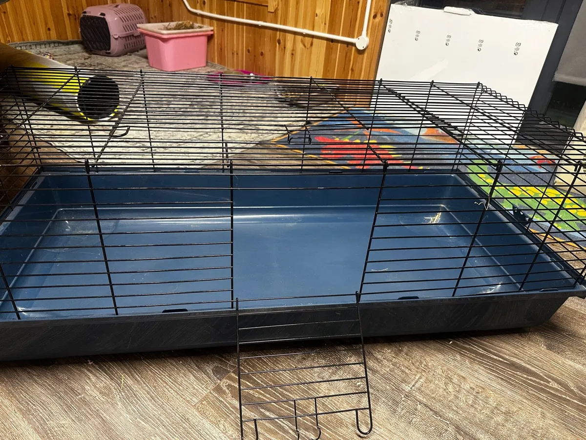 Mesh and tray- small animals - Image 2