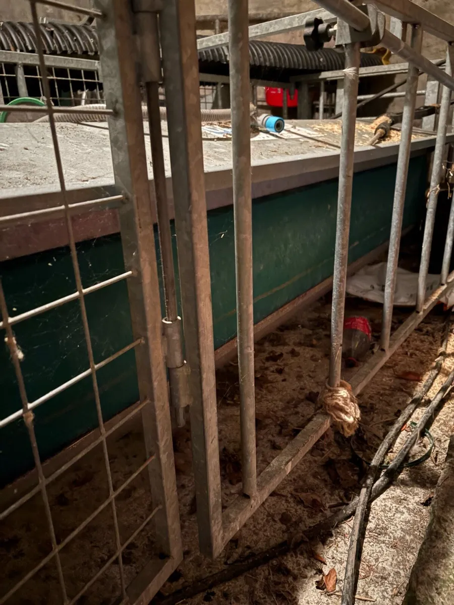 Creep feeder and Weighing scales - Image 4