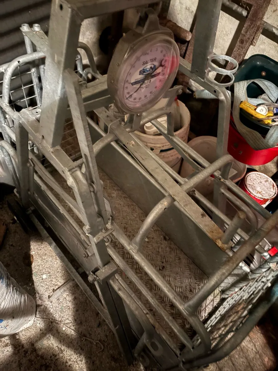Creep feeder and Weighing scales - Image 1