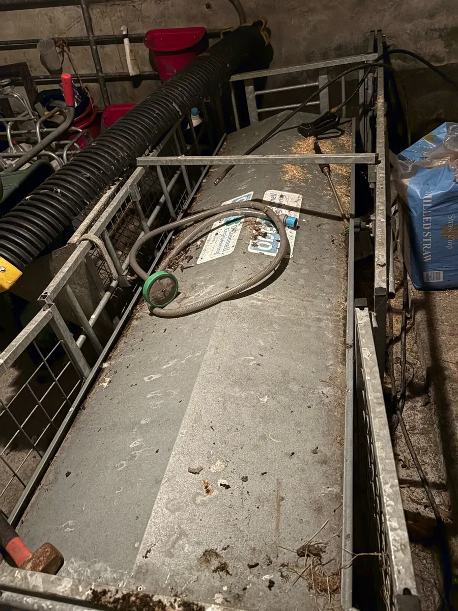 Creep feeder and Weighing scales - Image 3