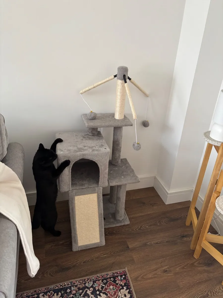 Cat tree tower scratching post - Image 2