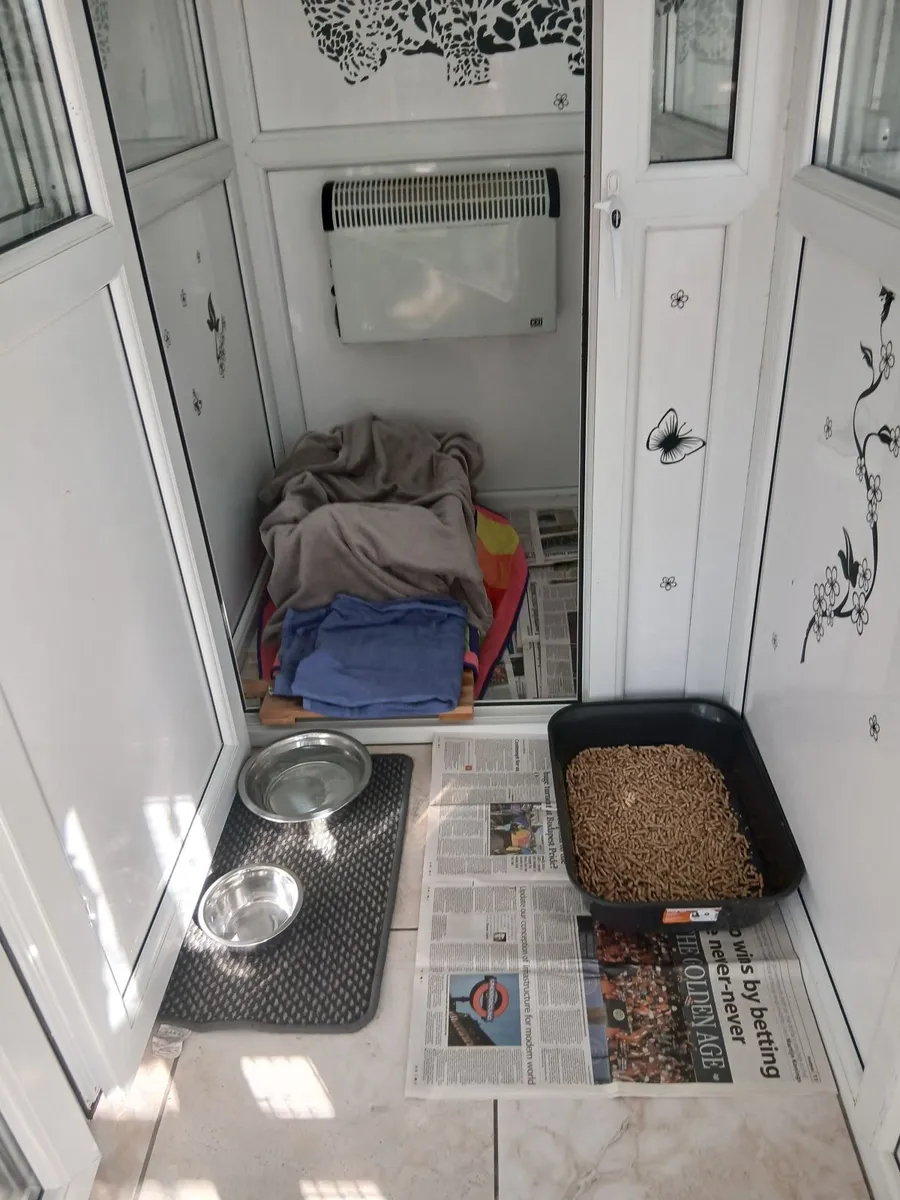 A custom made cattery it has 5 double pens - Image 3