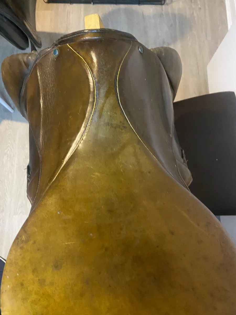 Stubben gp saddle - Image 3