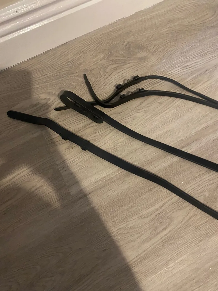 Reins for double bridle - Image 1
